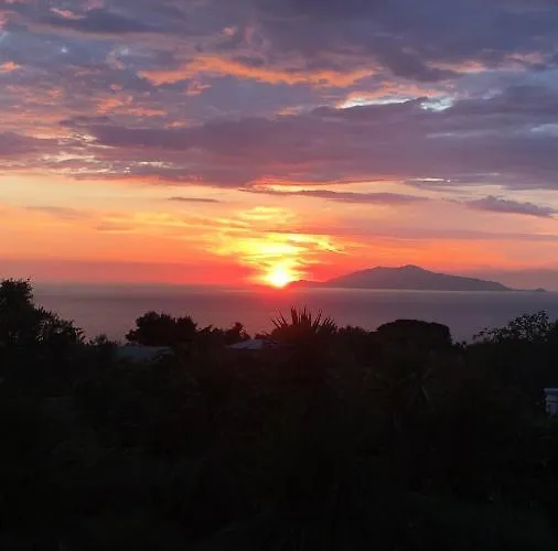 住宿加早餐酒店 Damecuta