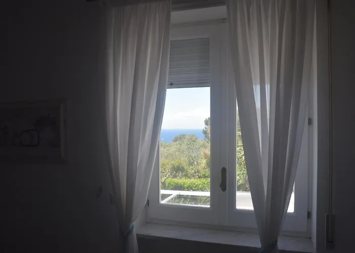 住宿加早餐酒店 Damecuta