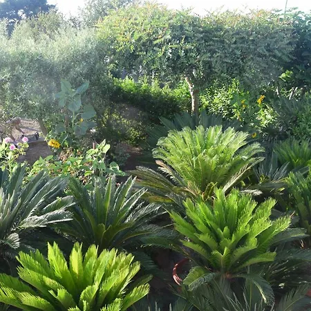 Bed & Breakfast Damecuta 3*