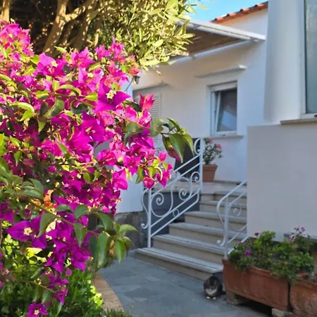 Bed & Breakfast Damecuta